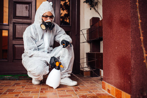 Reliable Bed Bug Control contractor in Norfolk, NE by Nex Pest Control